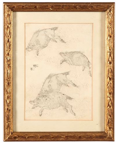 Disegno Raffigurante Cinghiali con Iscrizioni, Giappone, XX Secolo