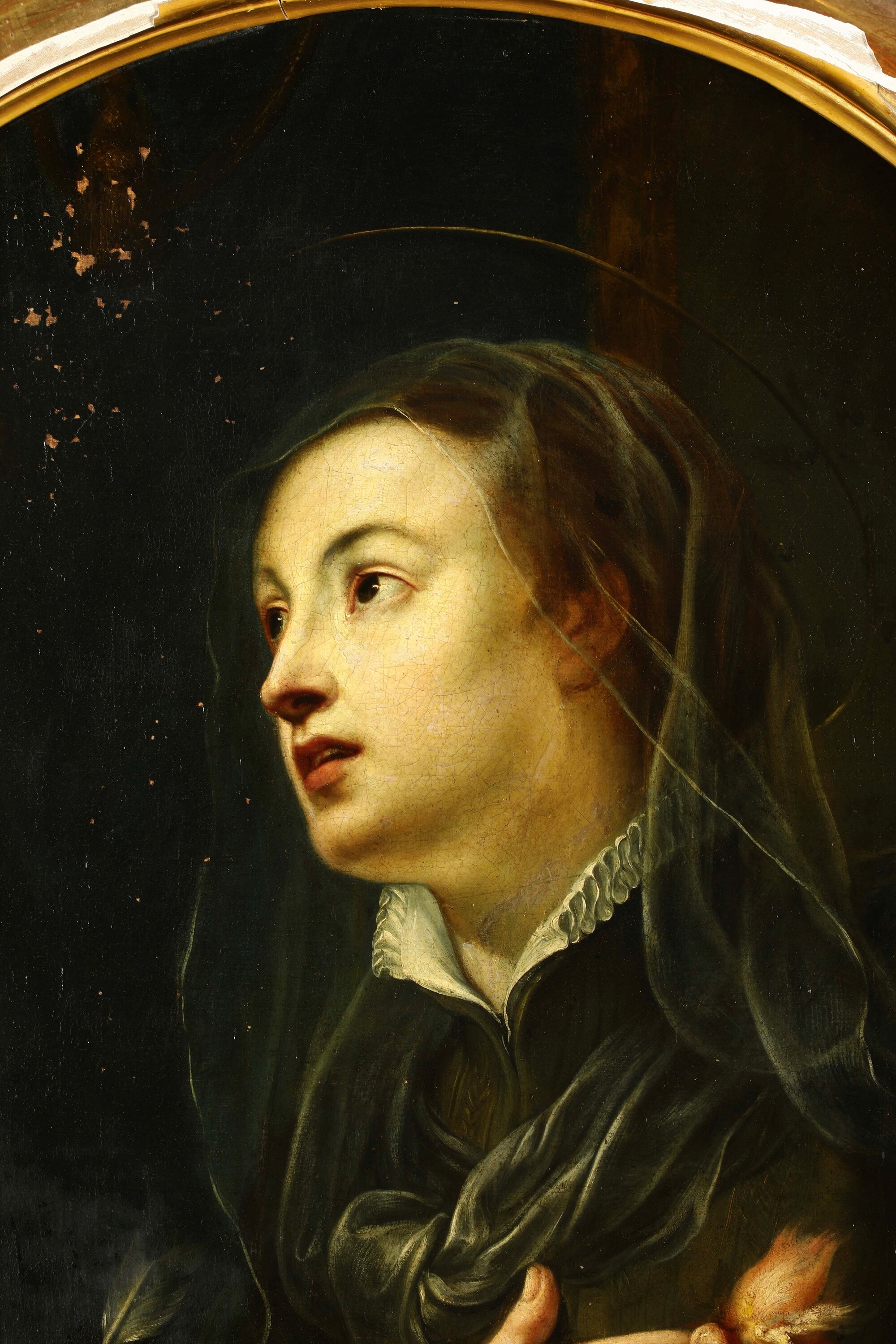 Scuola genovese del XVIII secolo, Ritratto di santa Caterina Fieschi, olio su tela ovale