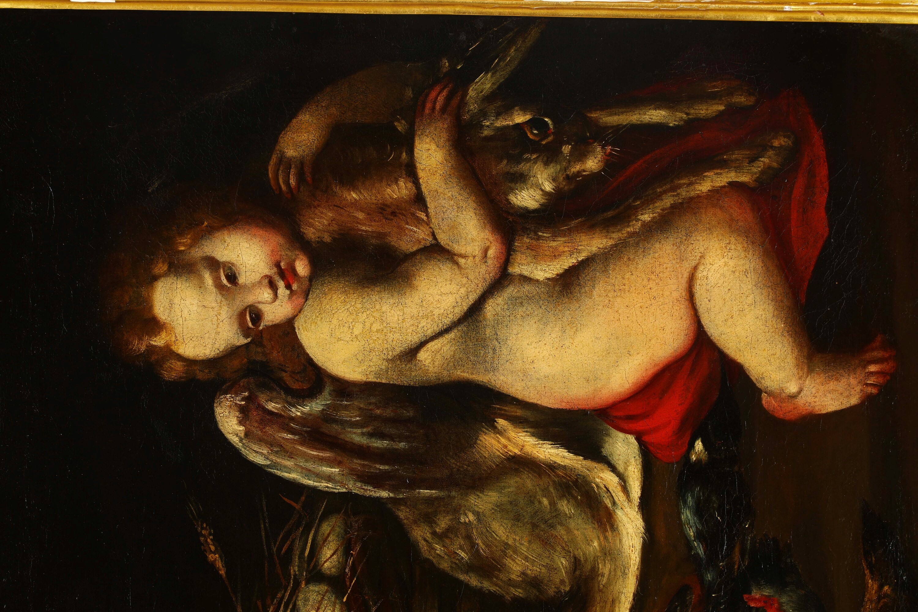 Domenico Guidobono - Nature morte con putti, olio su tela