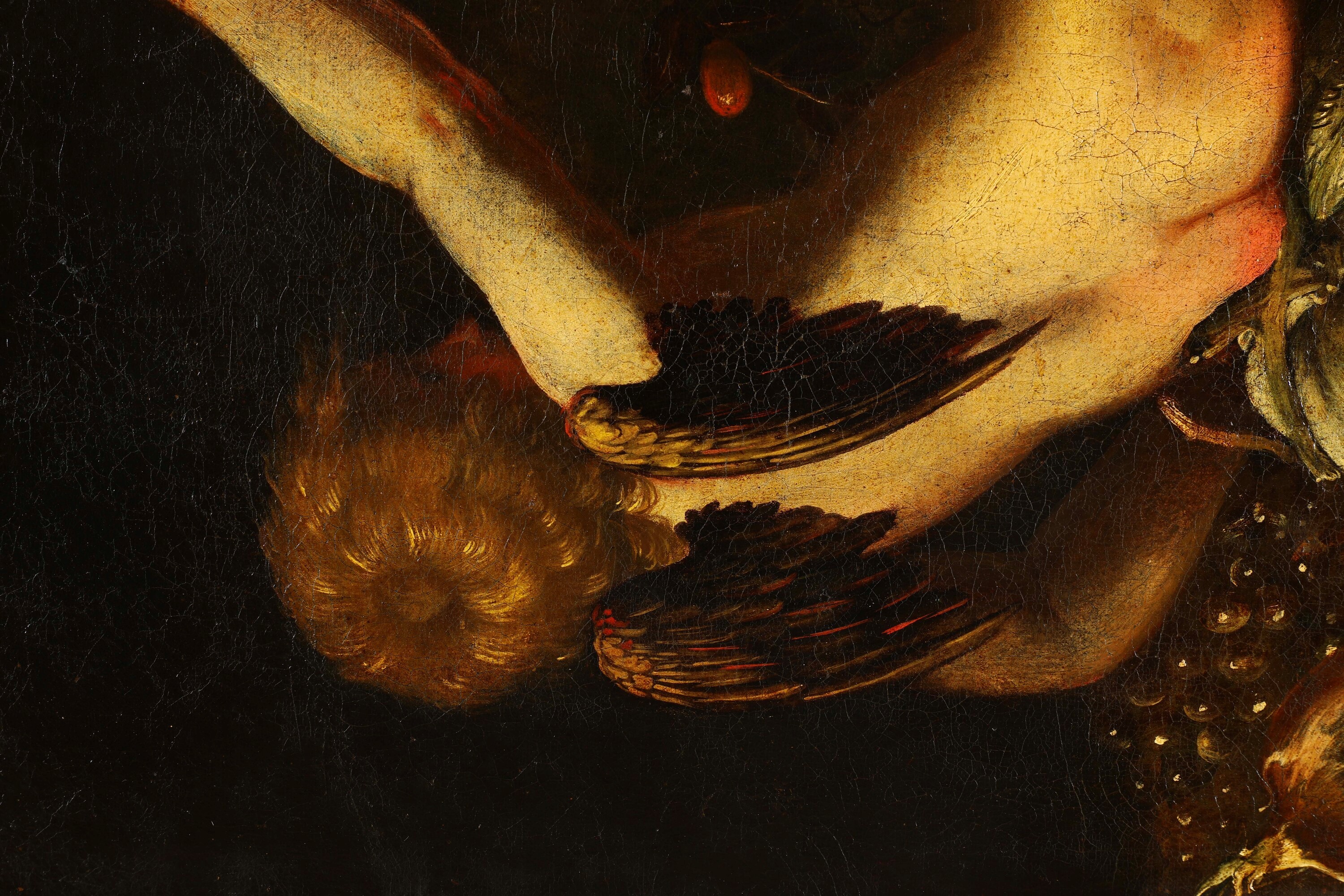 Domenico Guidobono - Nature morte con putti, olio su tela