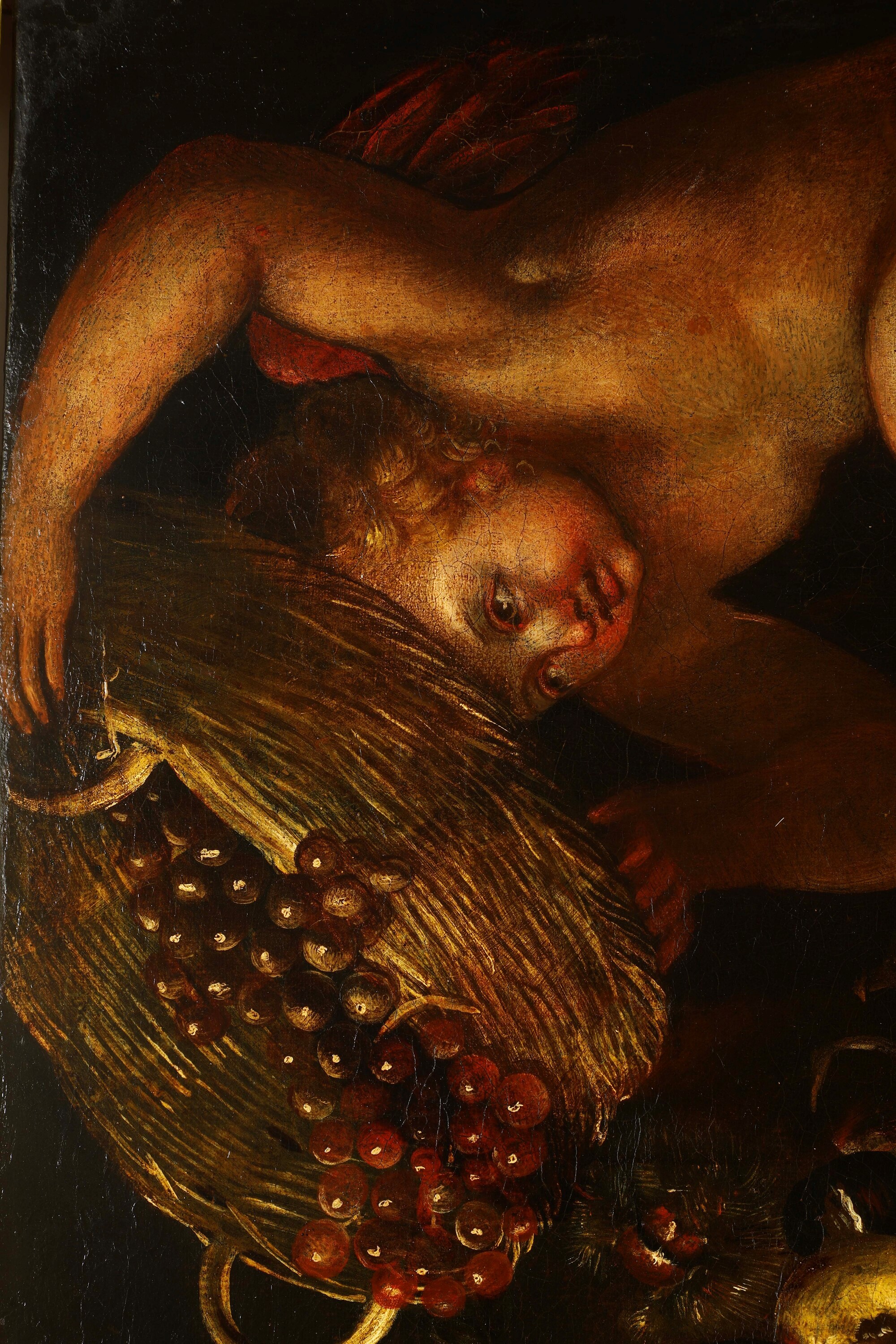 Domenico Guidobono - Nature morte con putti, olio su tela