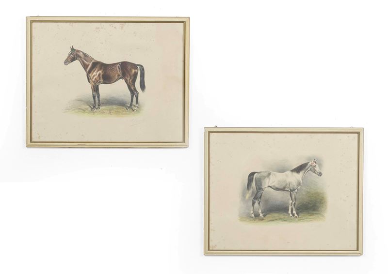 Incisore del XIX-XX secolo Cavalli  - Asta Dimore Italiane TIME - Cambi Casa d'Aste