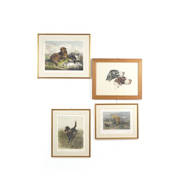 Sette diverse litografie raffiguranti cani