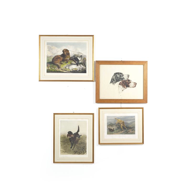 Sette diverse litografie raffiguranti cani  - Asta Dimore Italiane TIME - Cambi Casa d'Aste