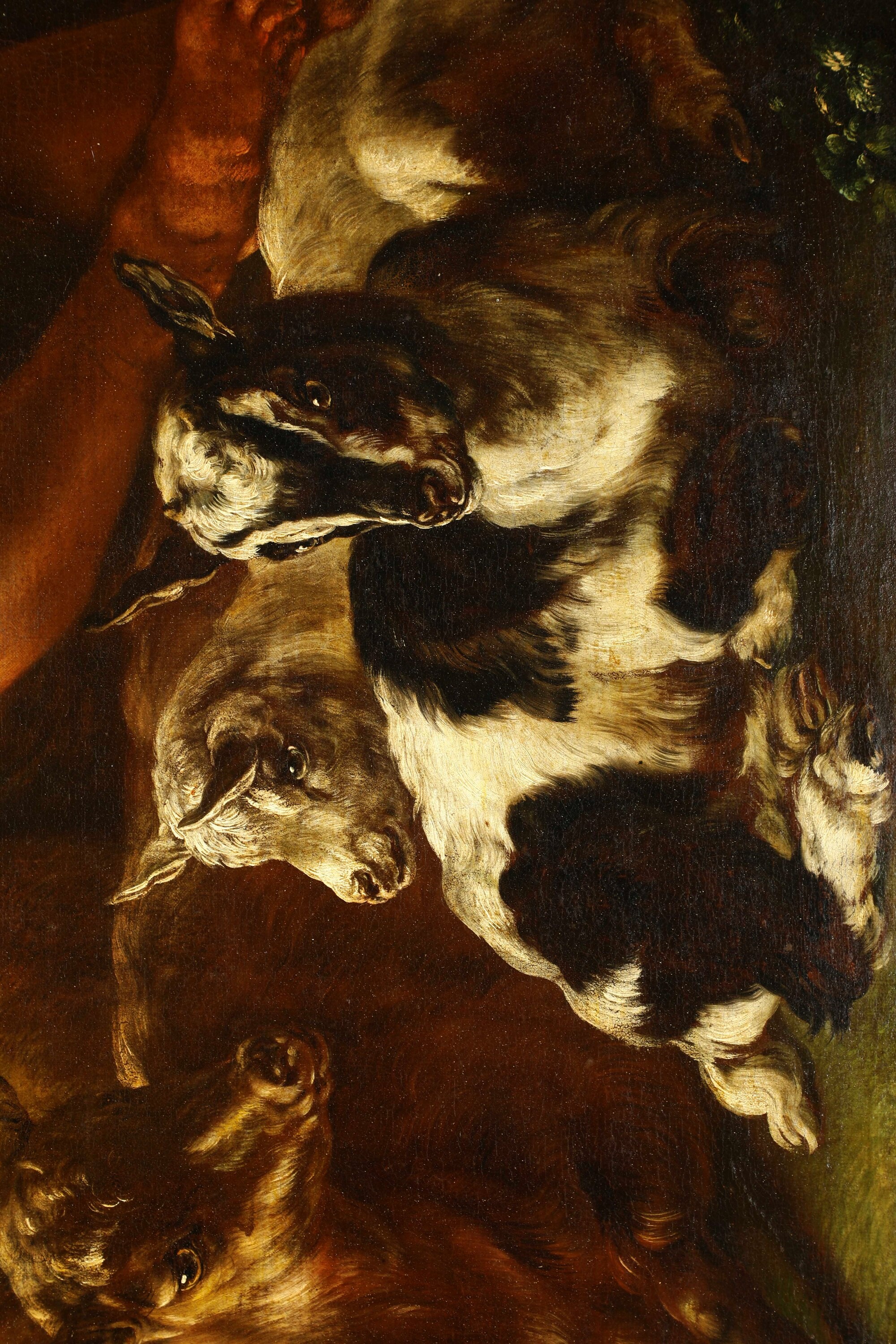 Domenico Brandi - Philipp Peter Roos, Pastore con armenti, olio su tela