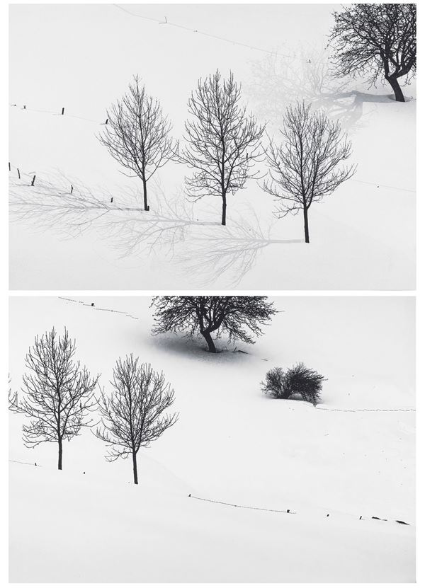 lotto di due fotografie   Senza titolo, dalla serie “Snow white photo collection”