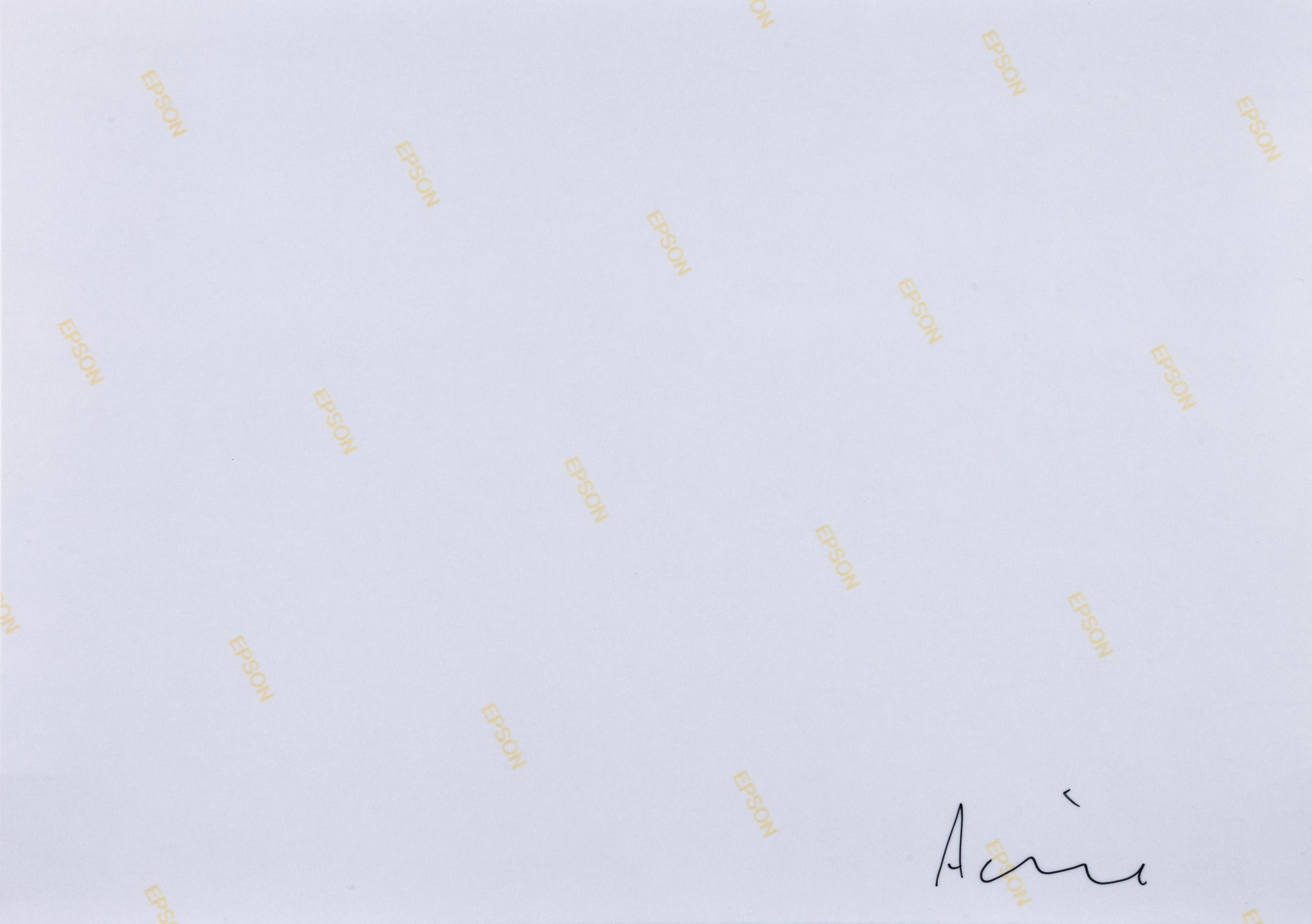 Polittico, lotto di nove fotografie Senza titolo, dalla serie "Clouds”