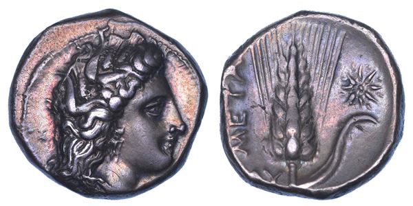 LUCANIA - METAPONTO. Nomos, 330-290 a.C.