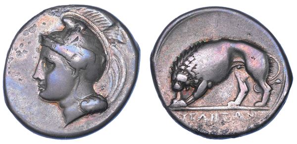 LUCANIA - VELIA. Didracma, 330-300 a.C.