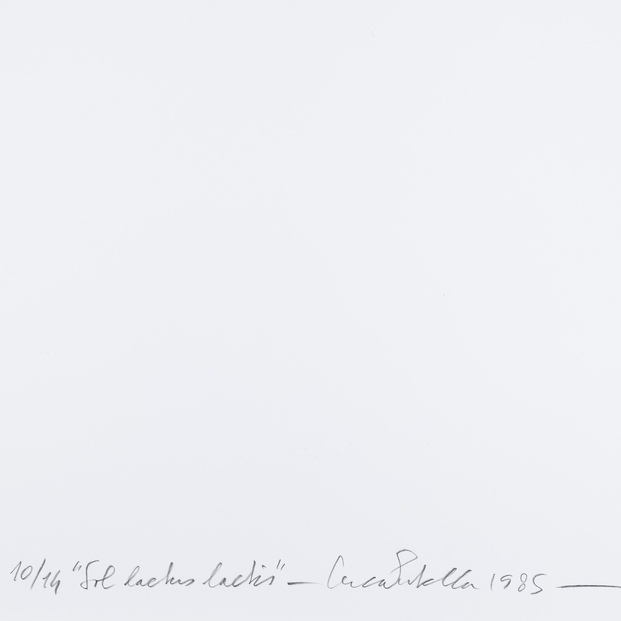 Intuizione (Sol laetus laetis), VIII dal volume “Montefolle”