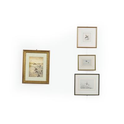 Quattro Disegni e Acquerelli con Anatre. Scuola Inglese del XX Secolo