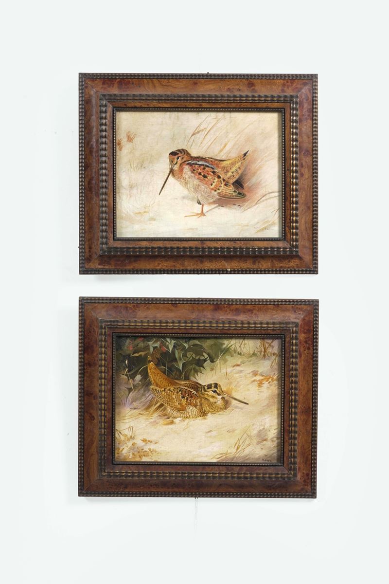 Due dipinti su tela con beccacce. XX secolo  - Asta Dimore Italiane TIME - Cambi Casa d'Aste