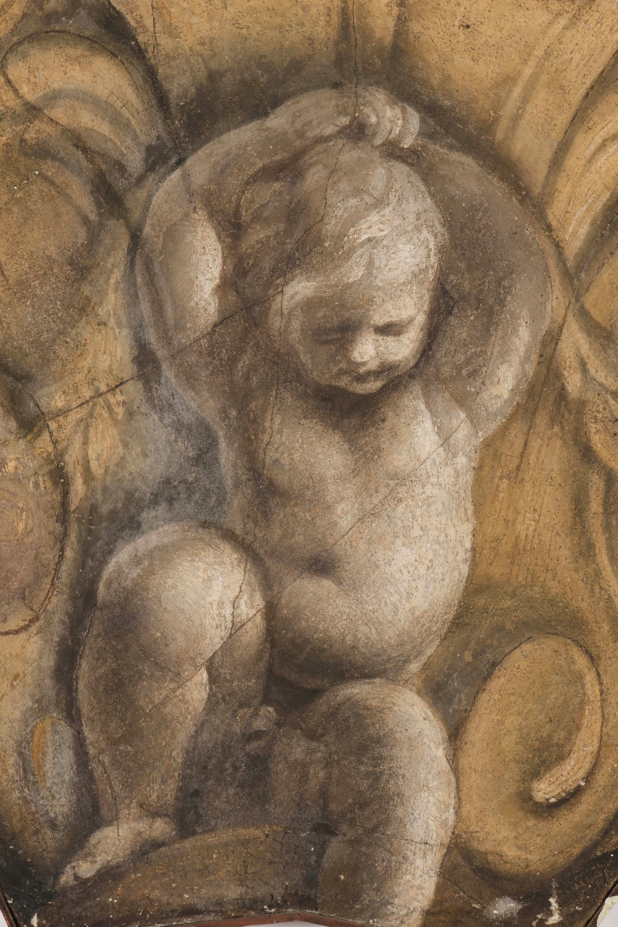 Domenico Piola - Figura di putto telamone a grisaille