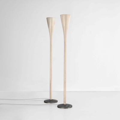 Due Lampade da Terra Mod. Luminator