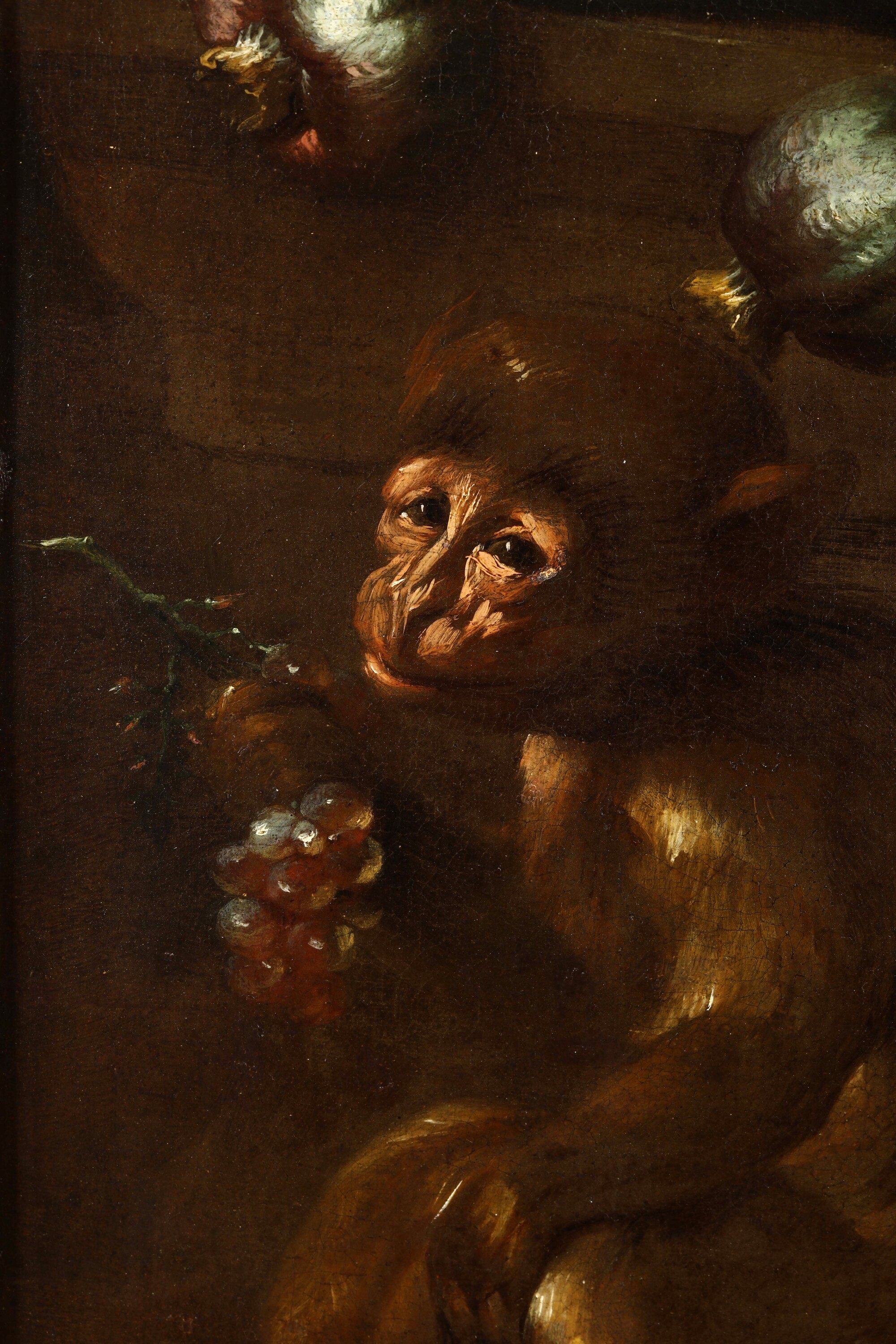 Stefano Camogli Detto il Camoglino - Natura morta con frutta, fiori, scimmia e pappagallo, olio s...