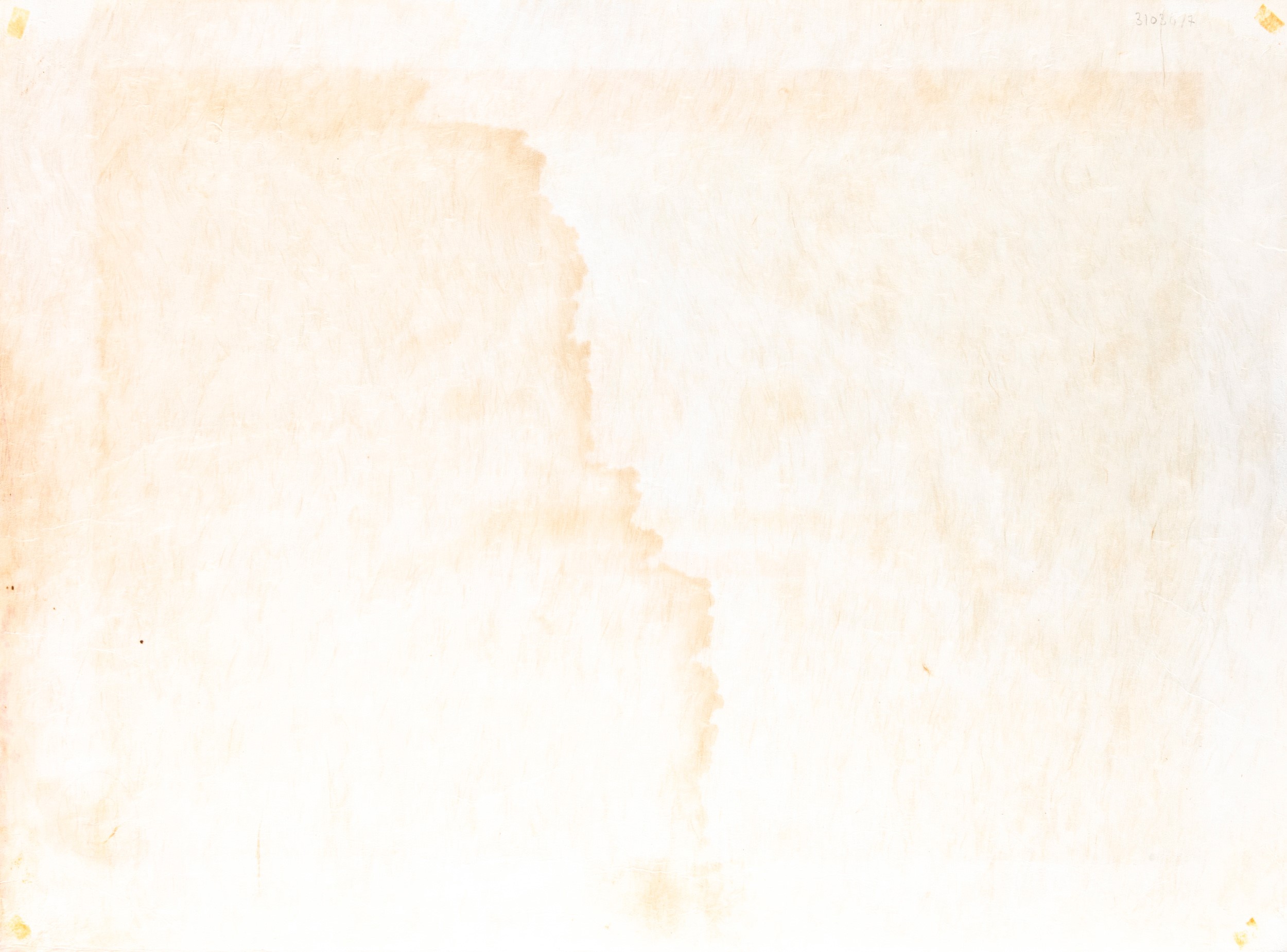 Le Lézard aux plumes d'or