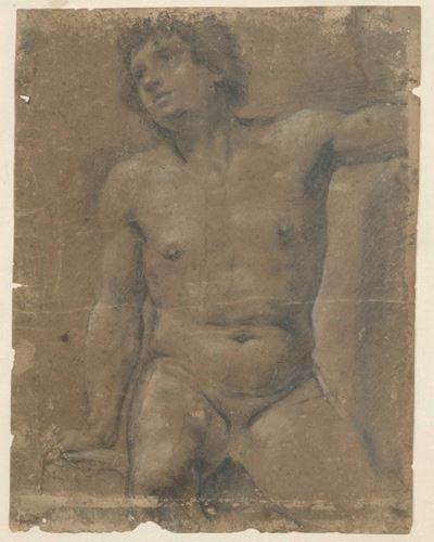 Scuola bolognese del XVII secolo, Studio di torso maschile, matita nera e bianca su carta