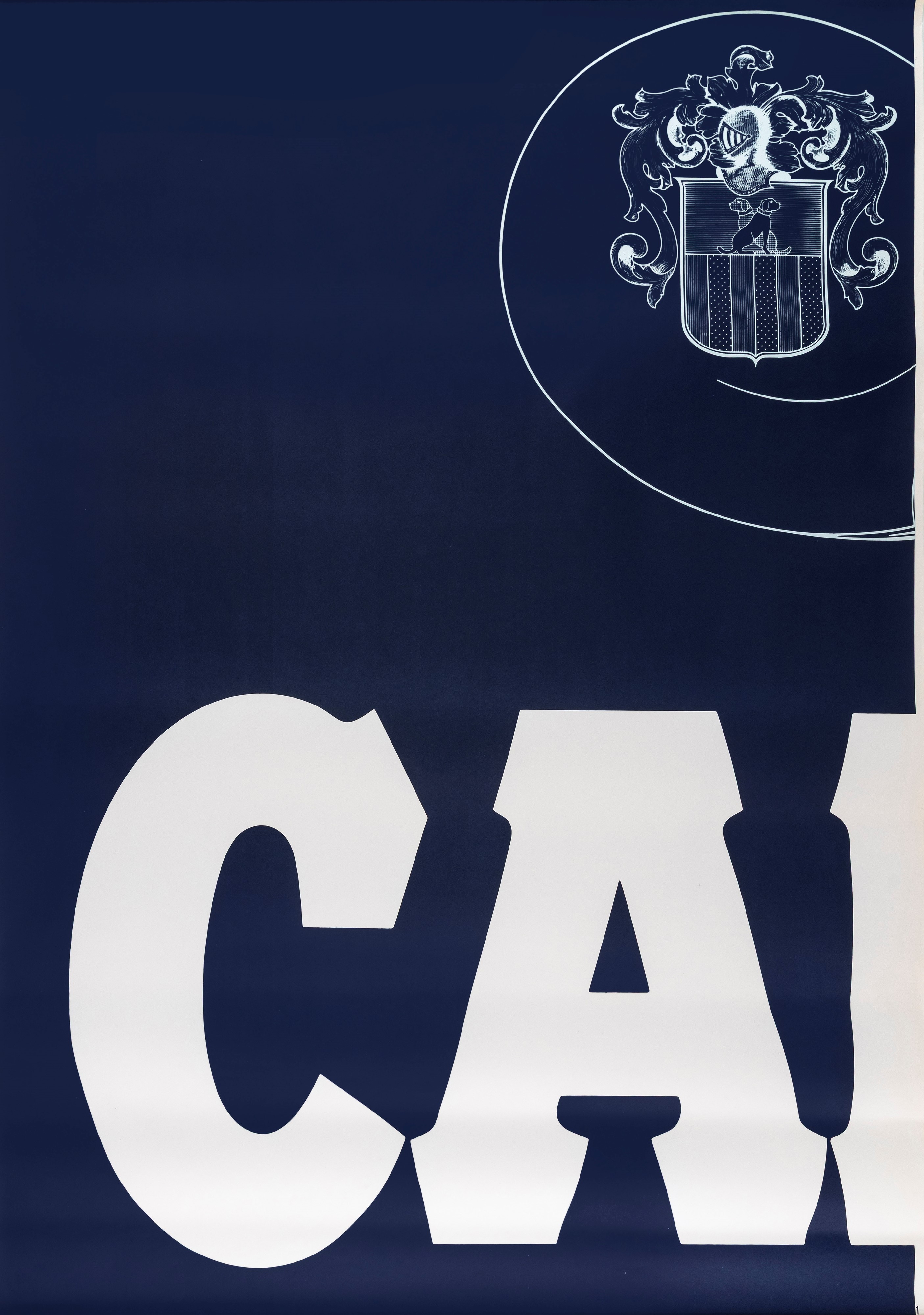 Artista Non Identificato - Banner Bitter Campari