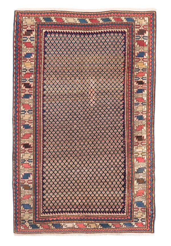 Tappeto Shirvan, Caucaso fine XIX inizio XX secolo