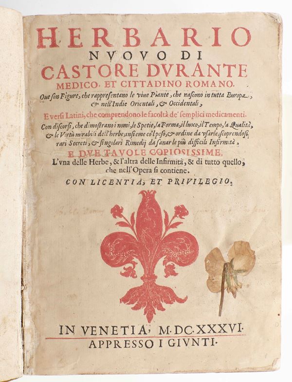 Durante, Castore (1529-1590) Herbario nuovo.. In Venetia, appresso i Giunti, 1636