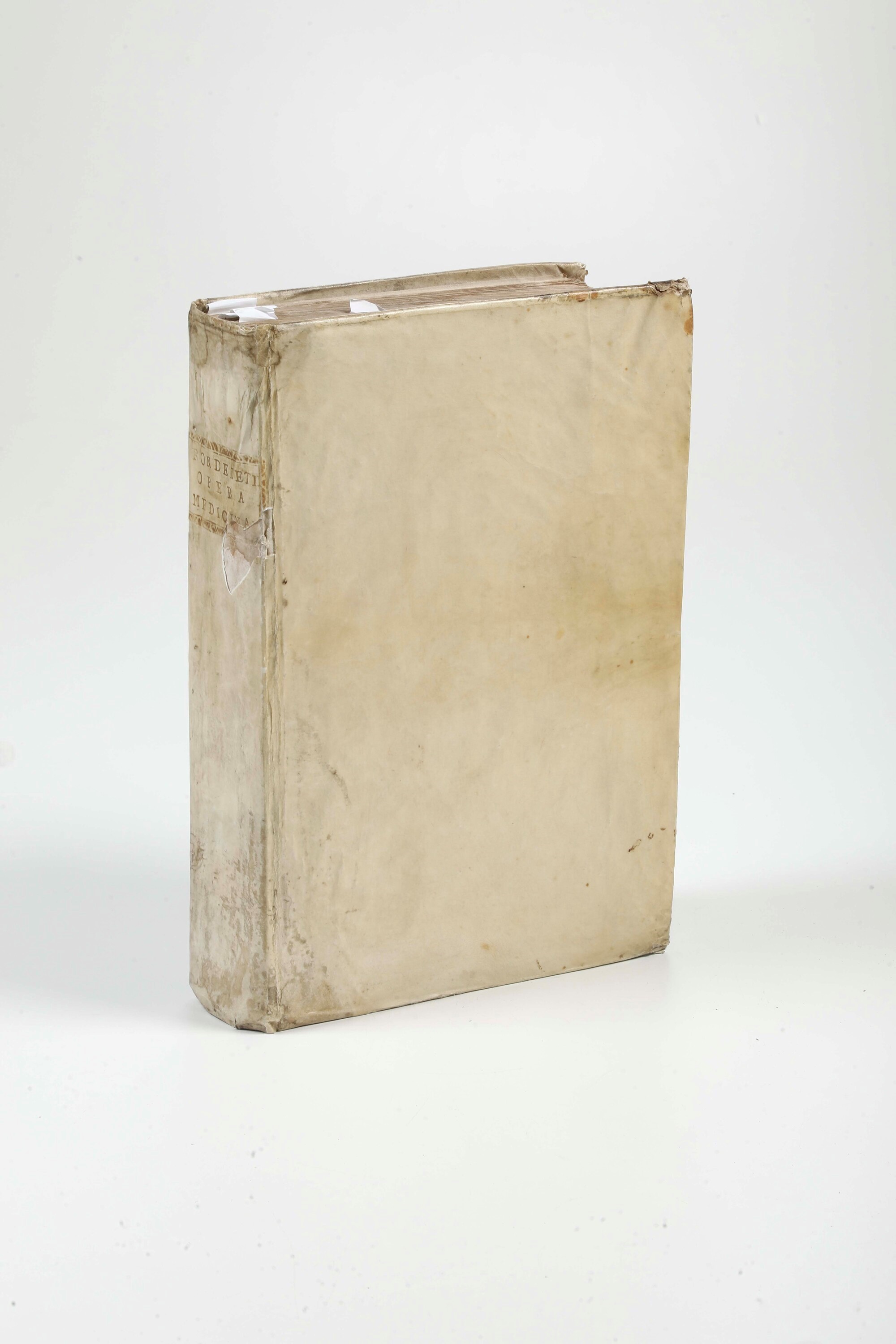 Rondelet, Guillelmus (1507-1566), Libri de piscibus marinis, Universae aquatilium, in-folio, Lugd...