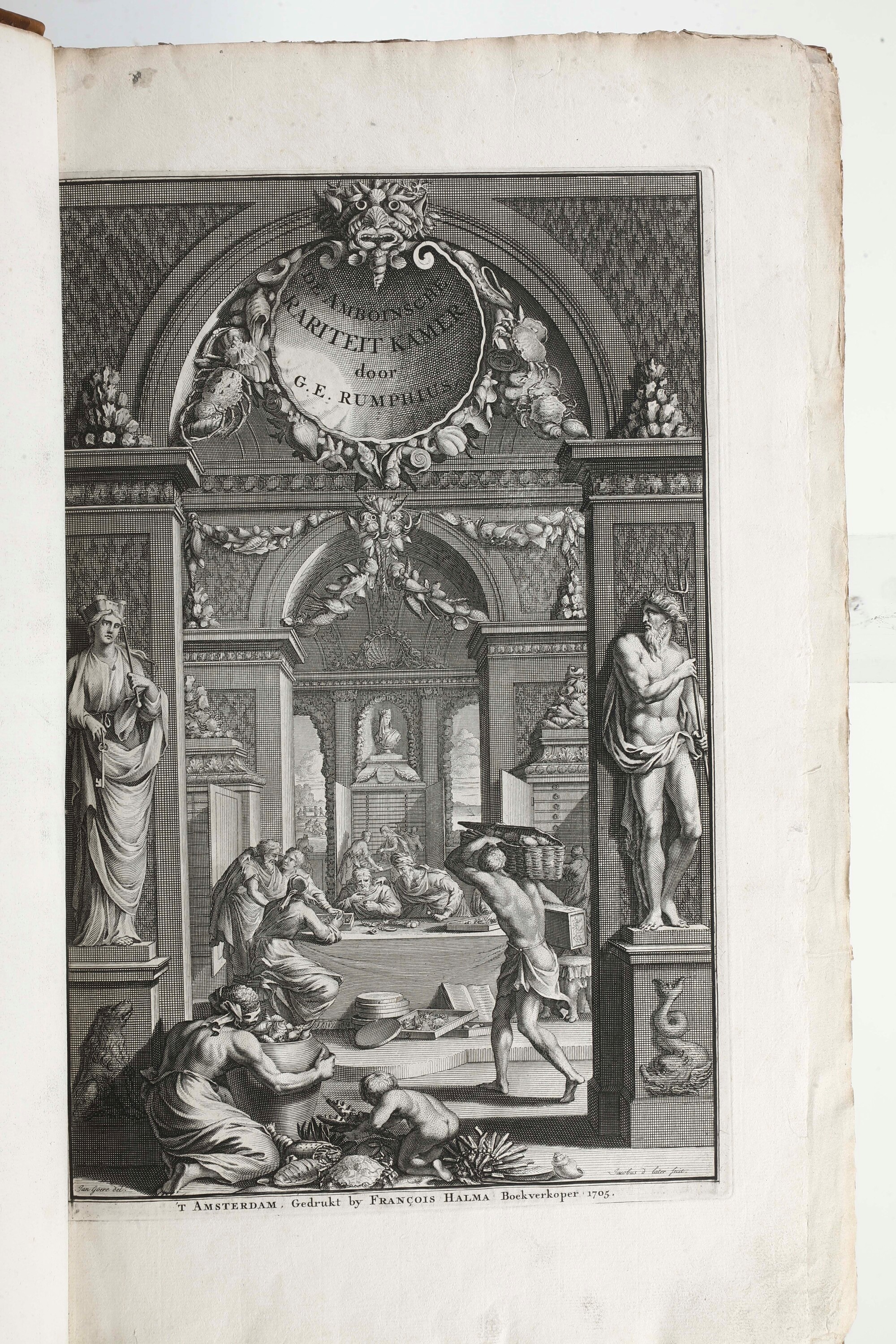 Rumphius, D’Amboinsche raritetkamer - Amsterdam, Jan Roman de Jonge, 1741