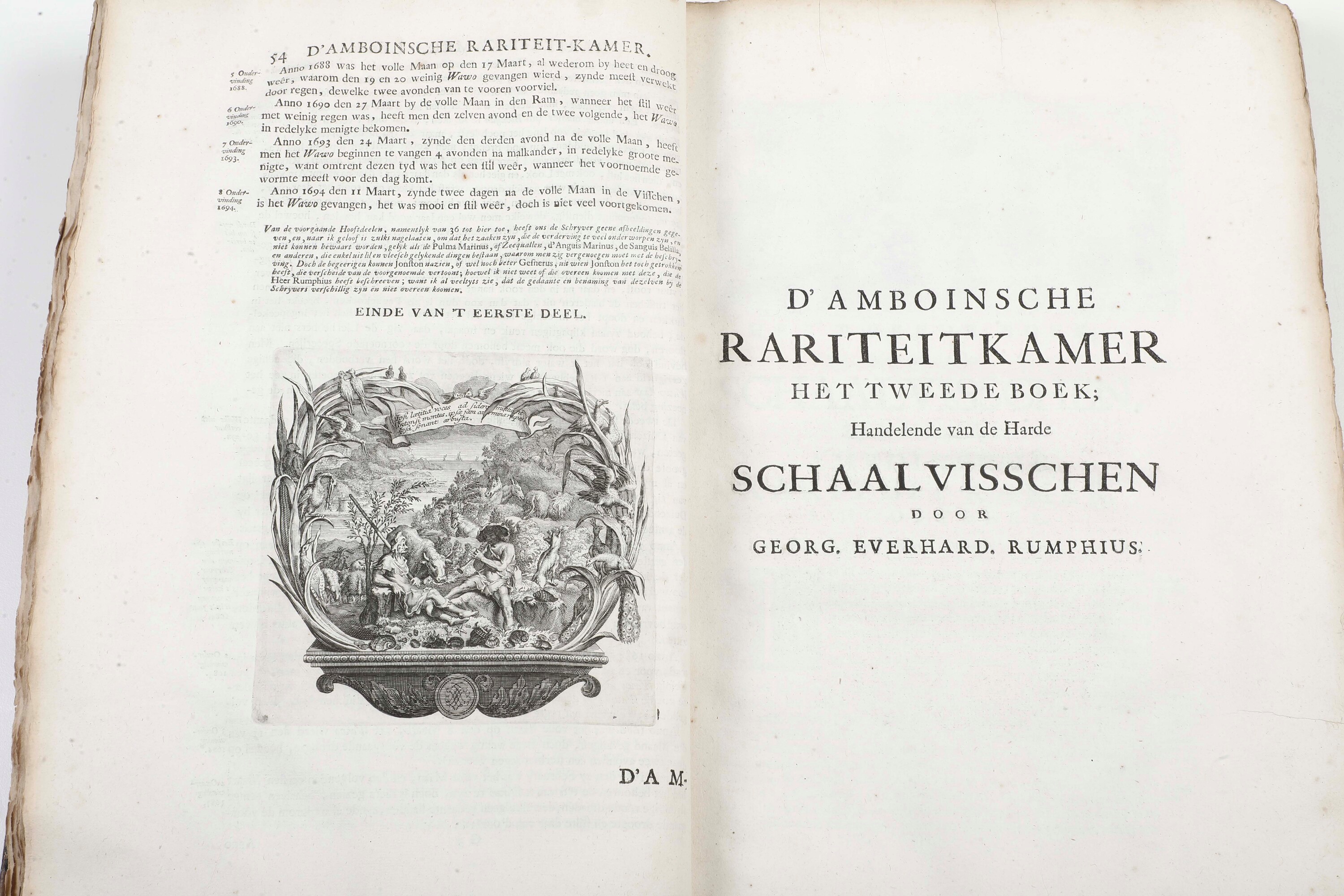 Rumphius, D’Amboinsche raritetkamer - Amsterdam, Jan Roman de Jonge, 1741