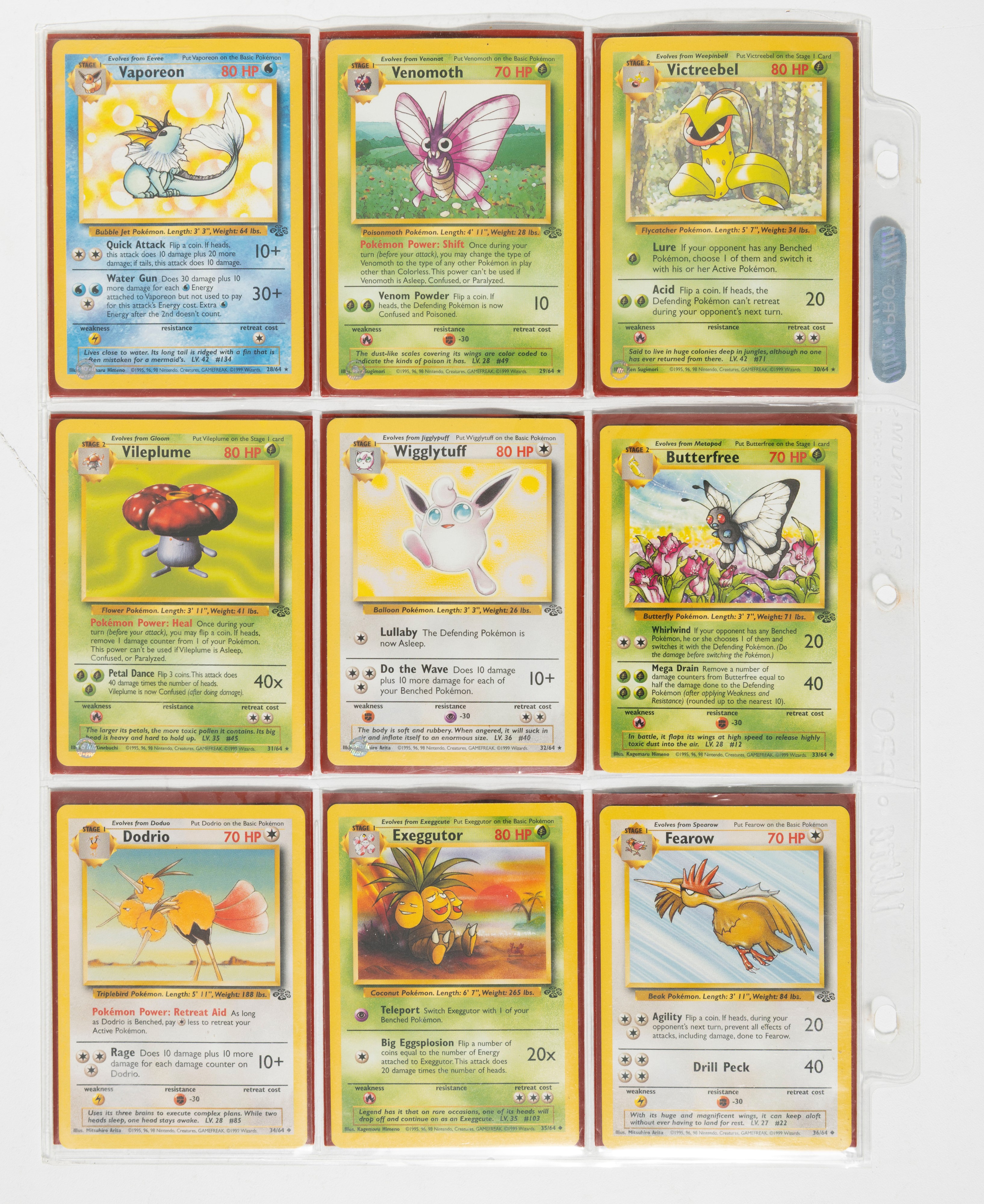 Ken Sugimori & Mitsuhiro Arita - Pokemon - Set Jungle Unlimited Uk.