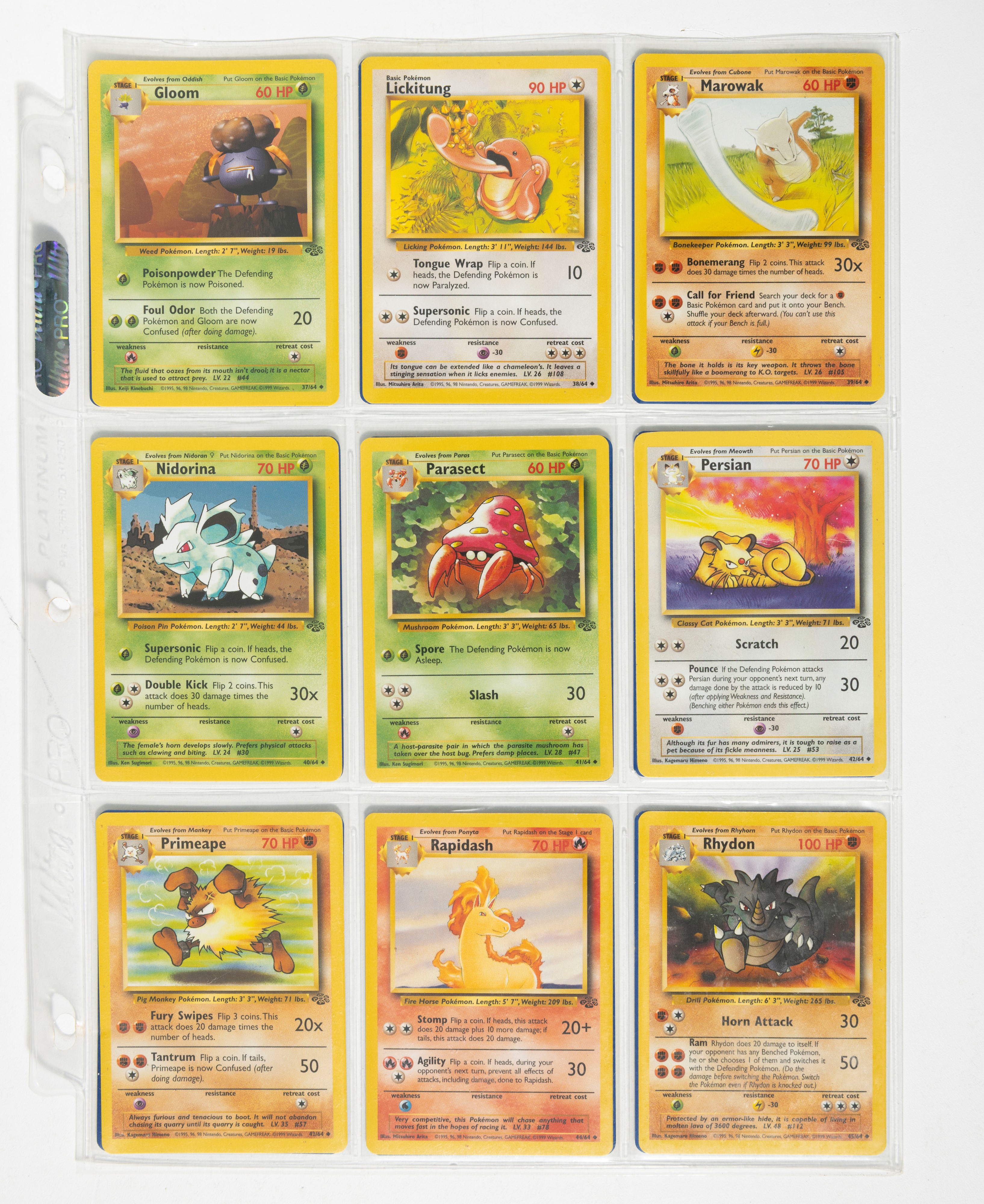 Ken Sugimori & Mitsuhiro Arita - Pokemon - Set Jungle Unlimited Uk.