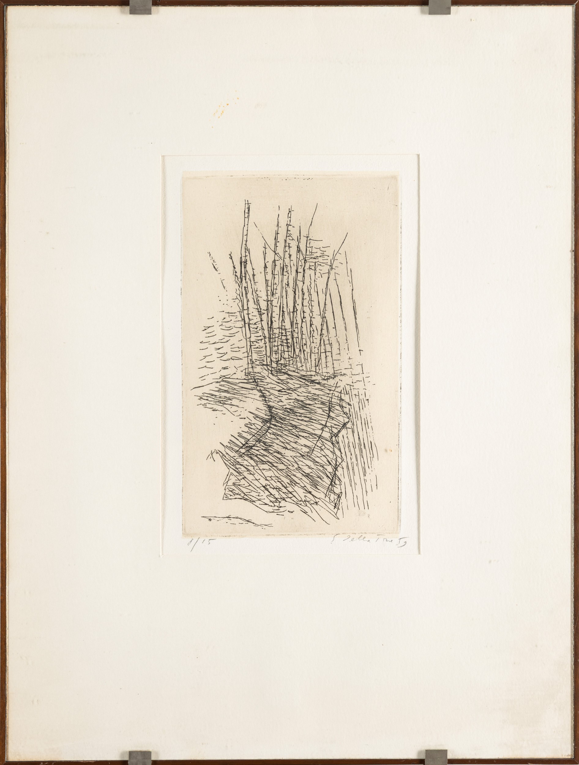 Enrico della Torre - Pioppeto sulla sponda del fiume