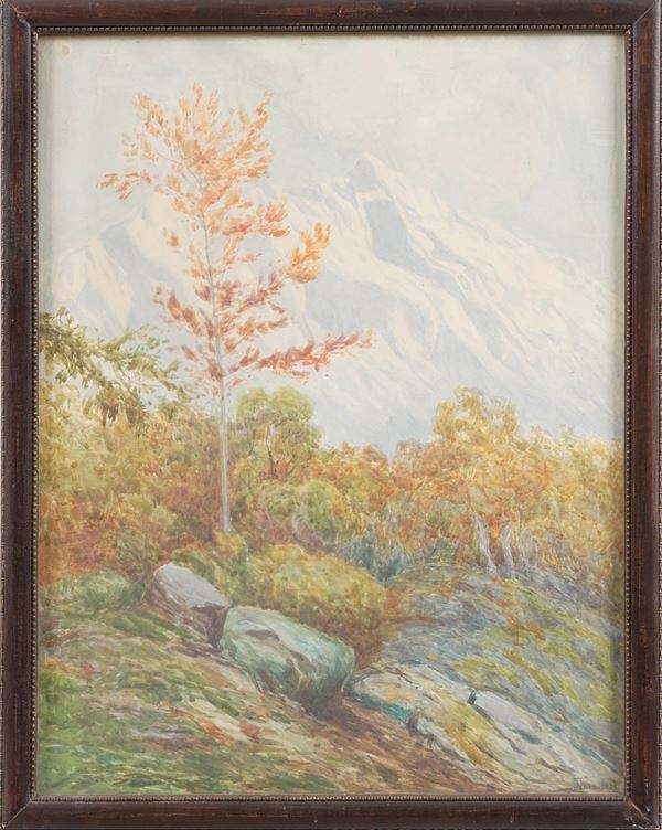 Paesaggio