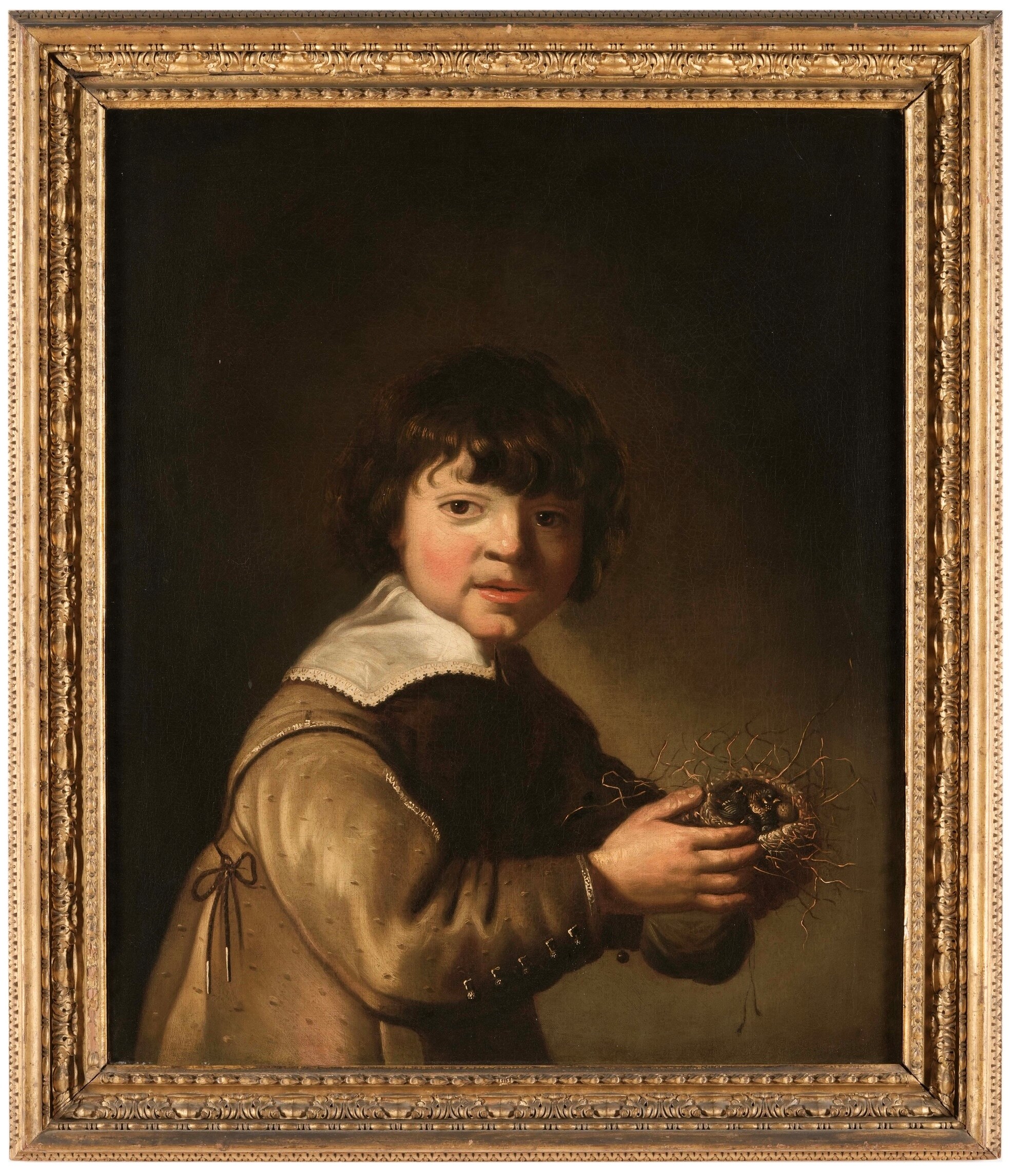 Scuola olandese del XVII secolo, Bambino con nido, olio su tela
