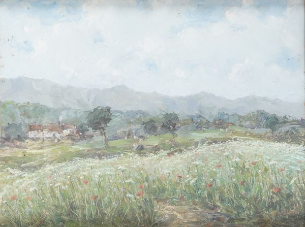 Vittorio Nattino - Campo fiorito