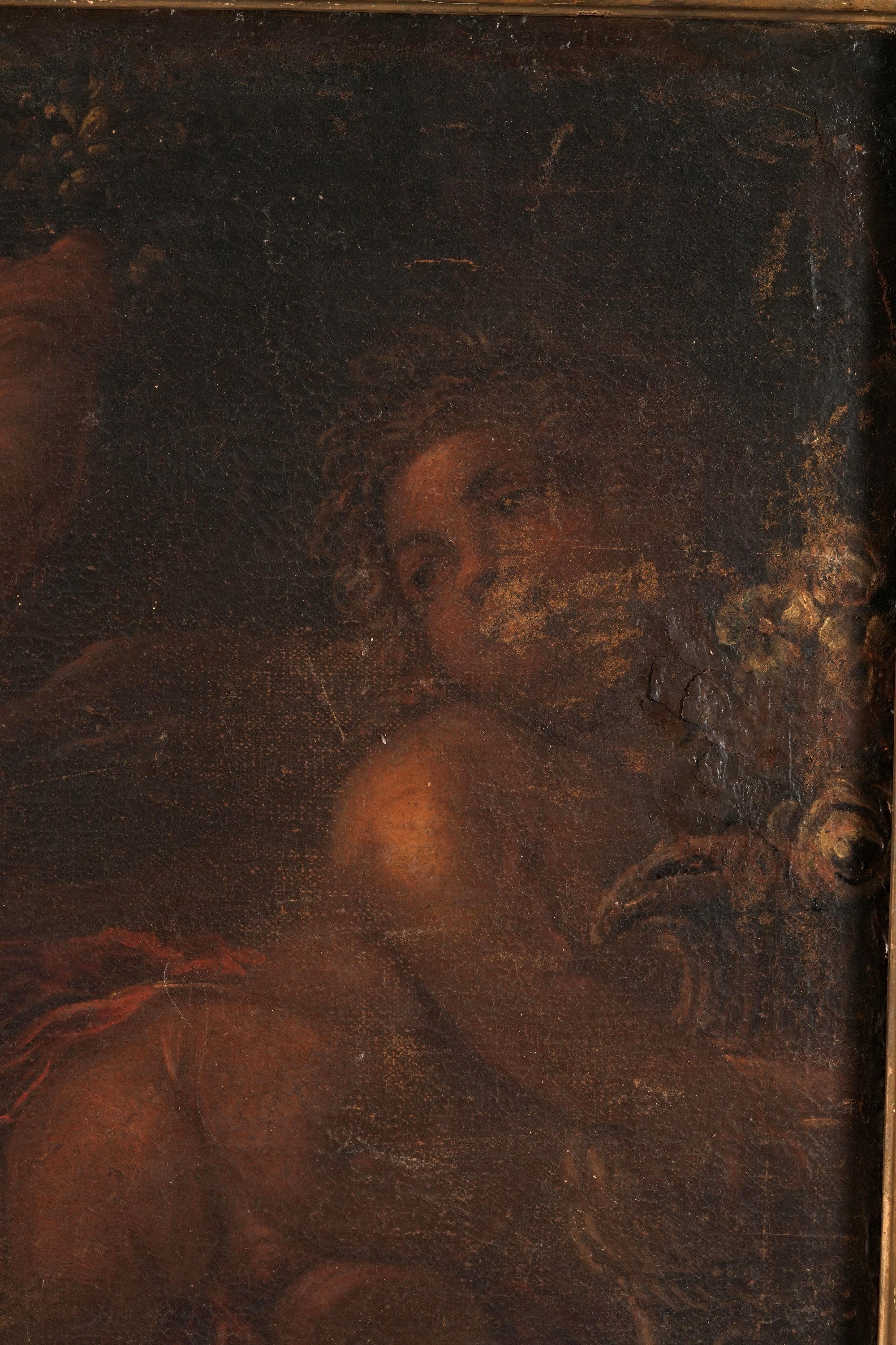 Domenico Piola - Due putti, olio su tela