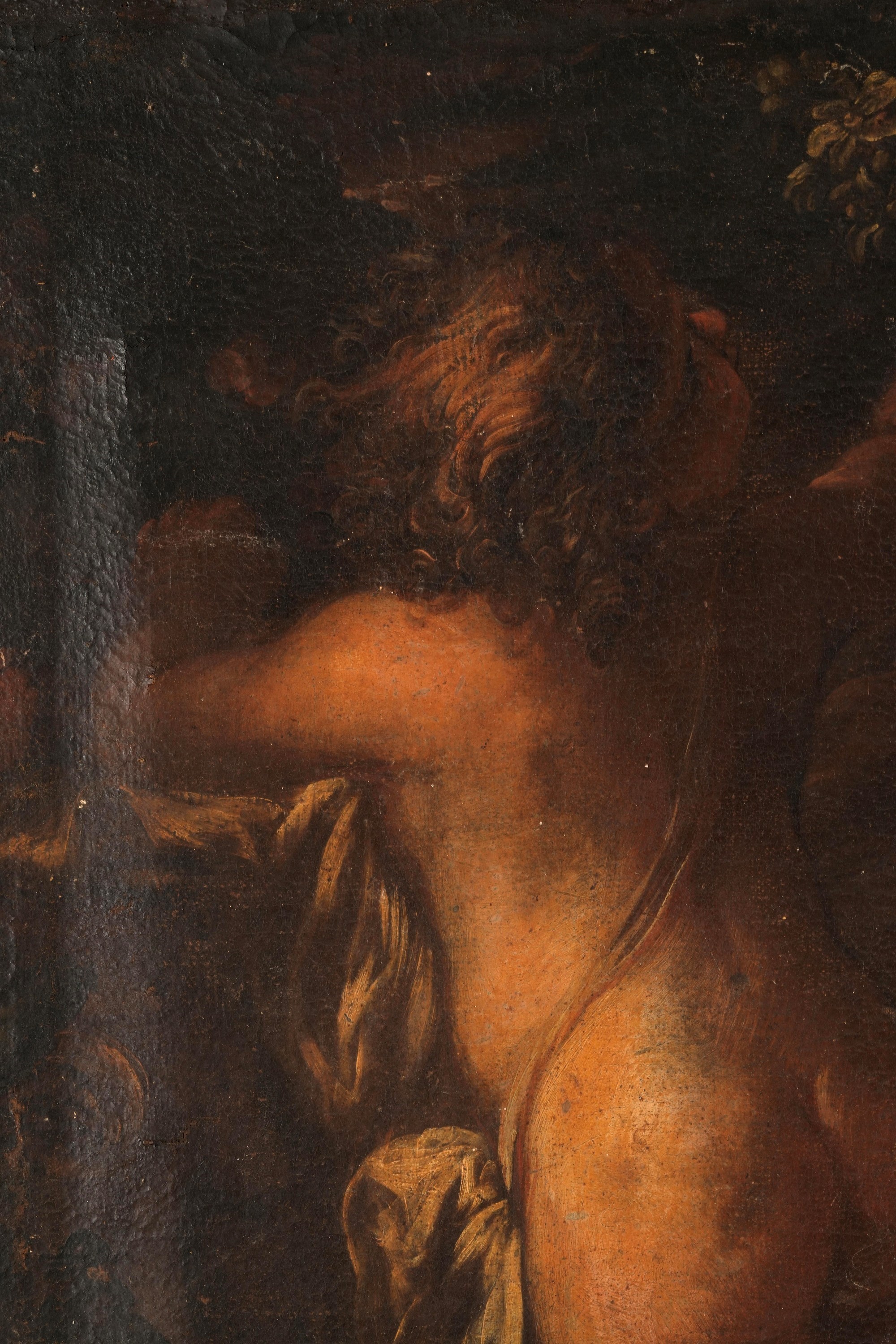 Domenico Piola - Due putti, olio su tela