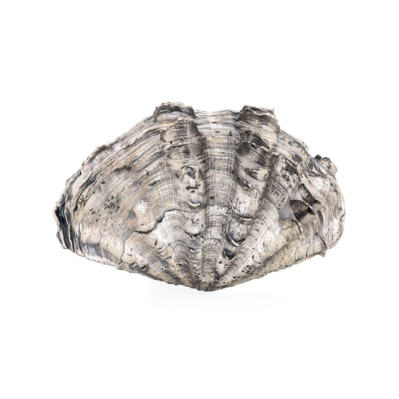 Conchiglia rivestita in argento. Italia, XX-XXI secolo. Etichetta a scudo Mario Buccellati