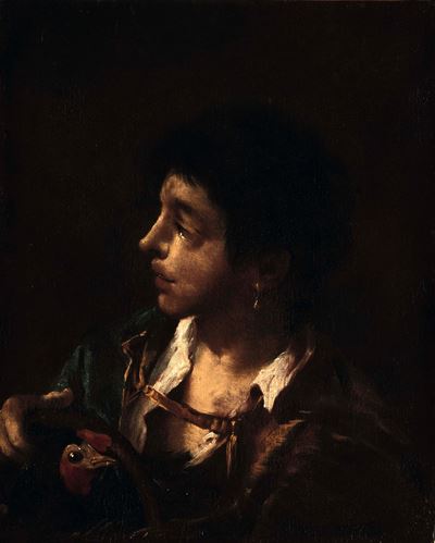 Testa di giovane con gallo, olio su tela