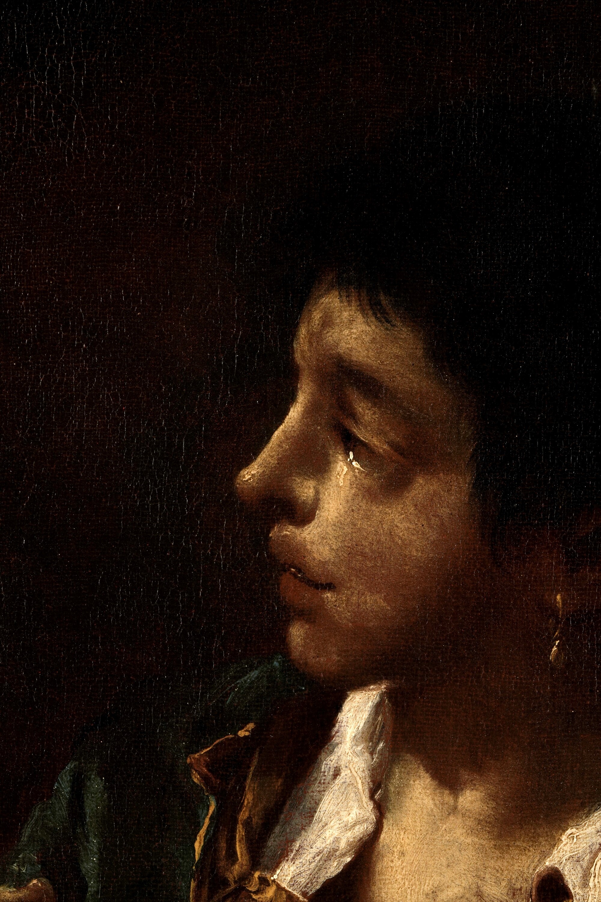Giovanni Antonio Guardi - Testa di giovane con gallo, olio su tela