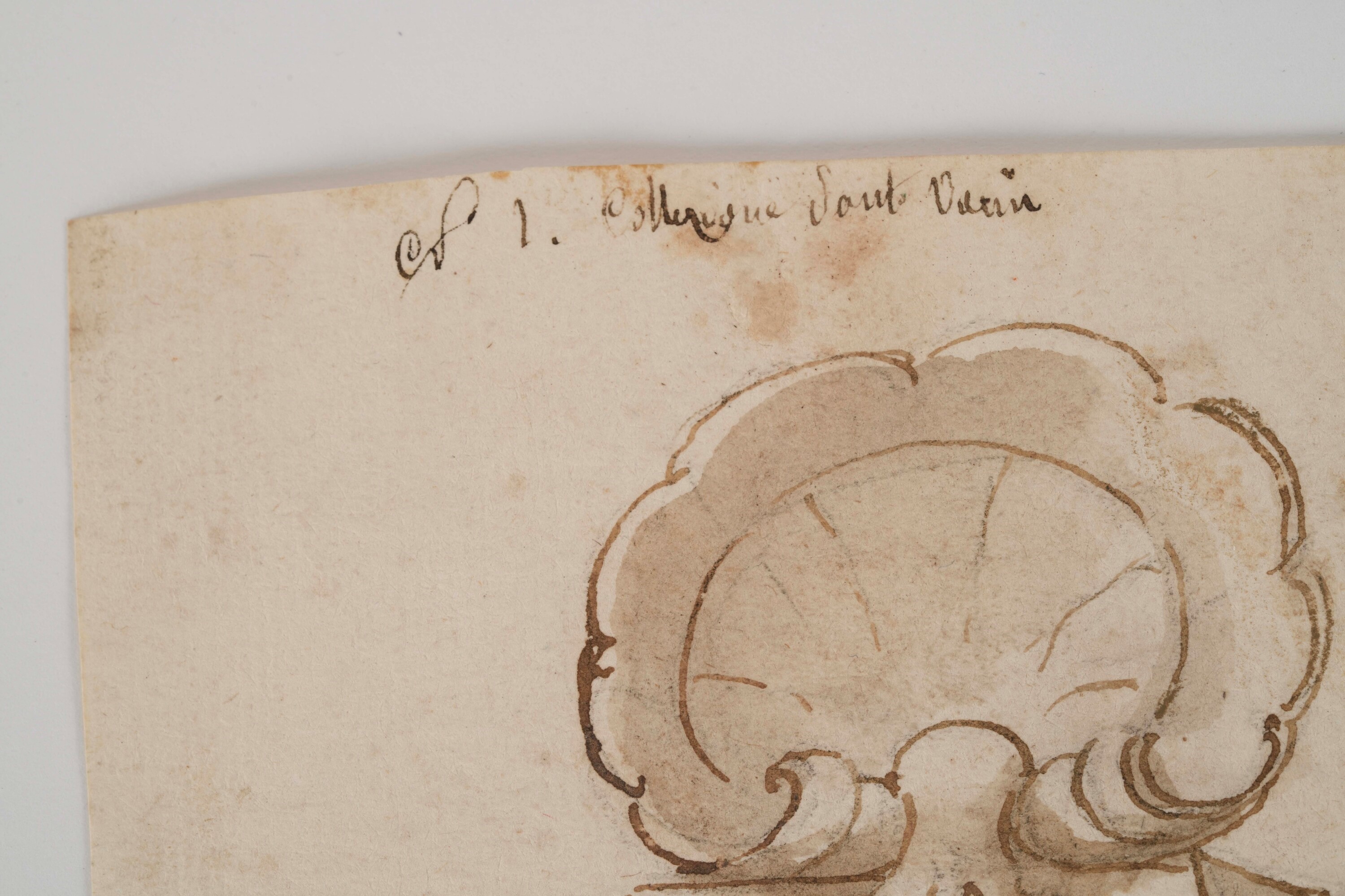 Domenico Piola - Progetto per frontespizio - Penna, inchiostro bruno e acquerello su carta