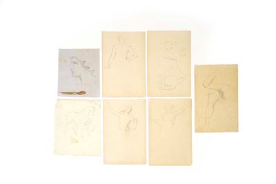 Gruppo di Sette Studi di Nudi e Cavalli