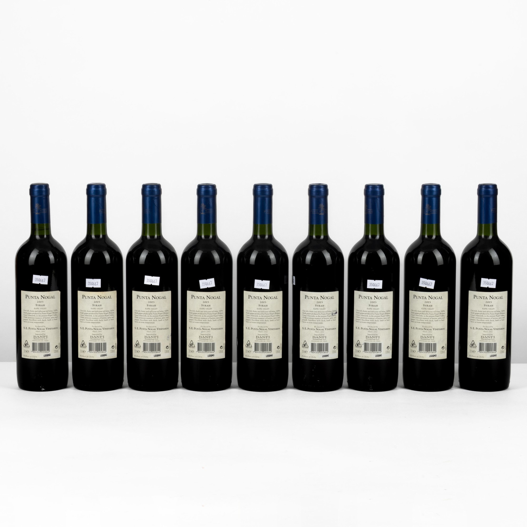 Syrah, Punta Nogal, Rapel Valley, Cile 2003, 9 Bottiglie da 75cl