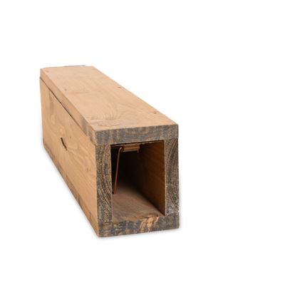 Wieselwippbrettfalle, scultura in legno, metallo ed esca