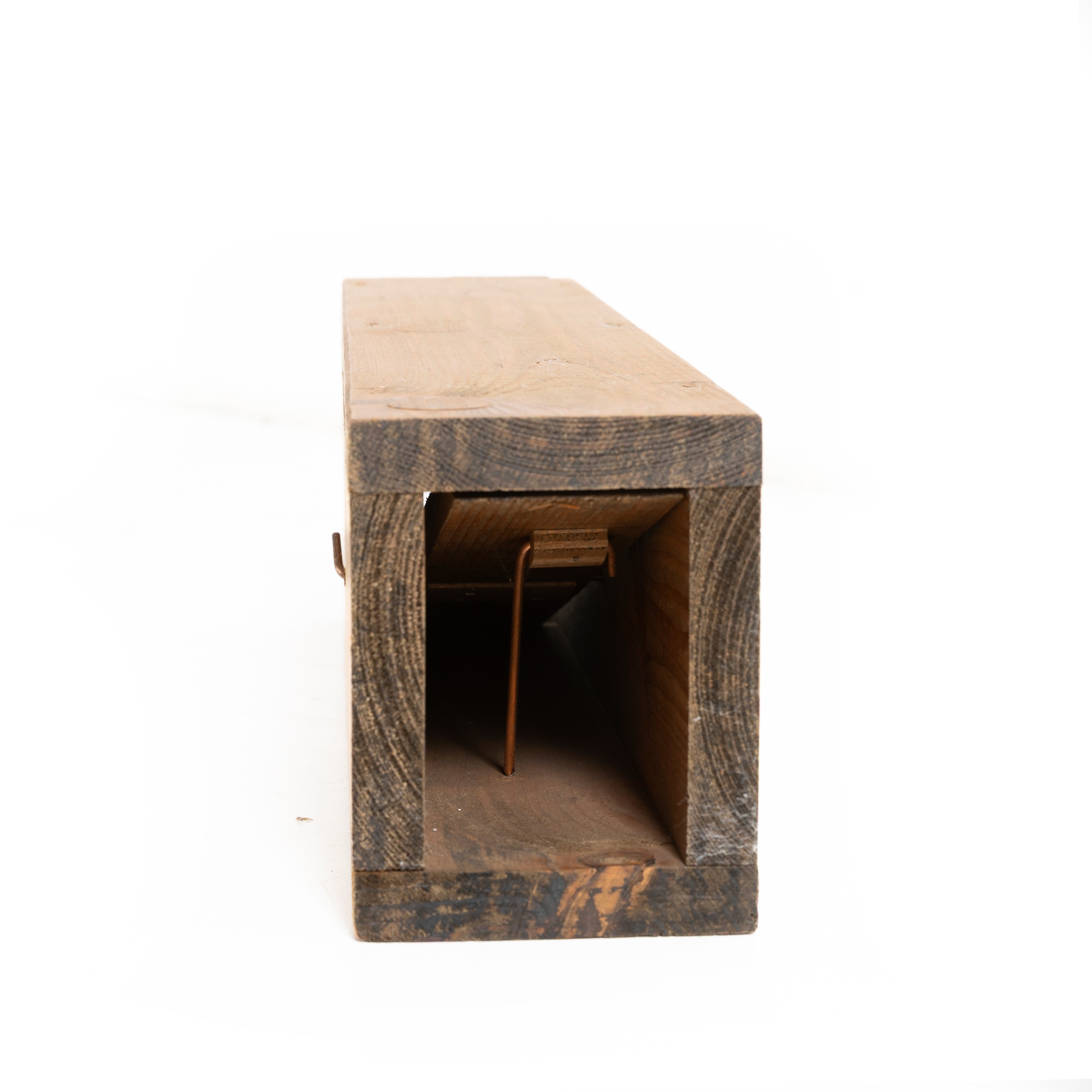 Andreas Slominski - Wieselwippbrettfalle, scultura in legno, metallo ed esca