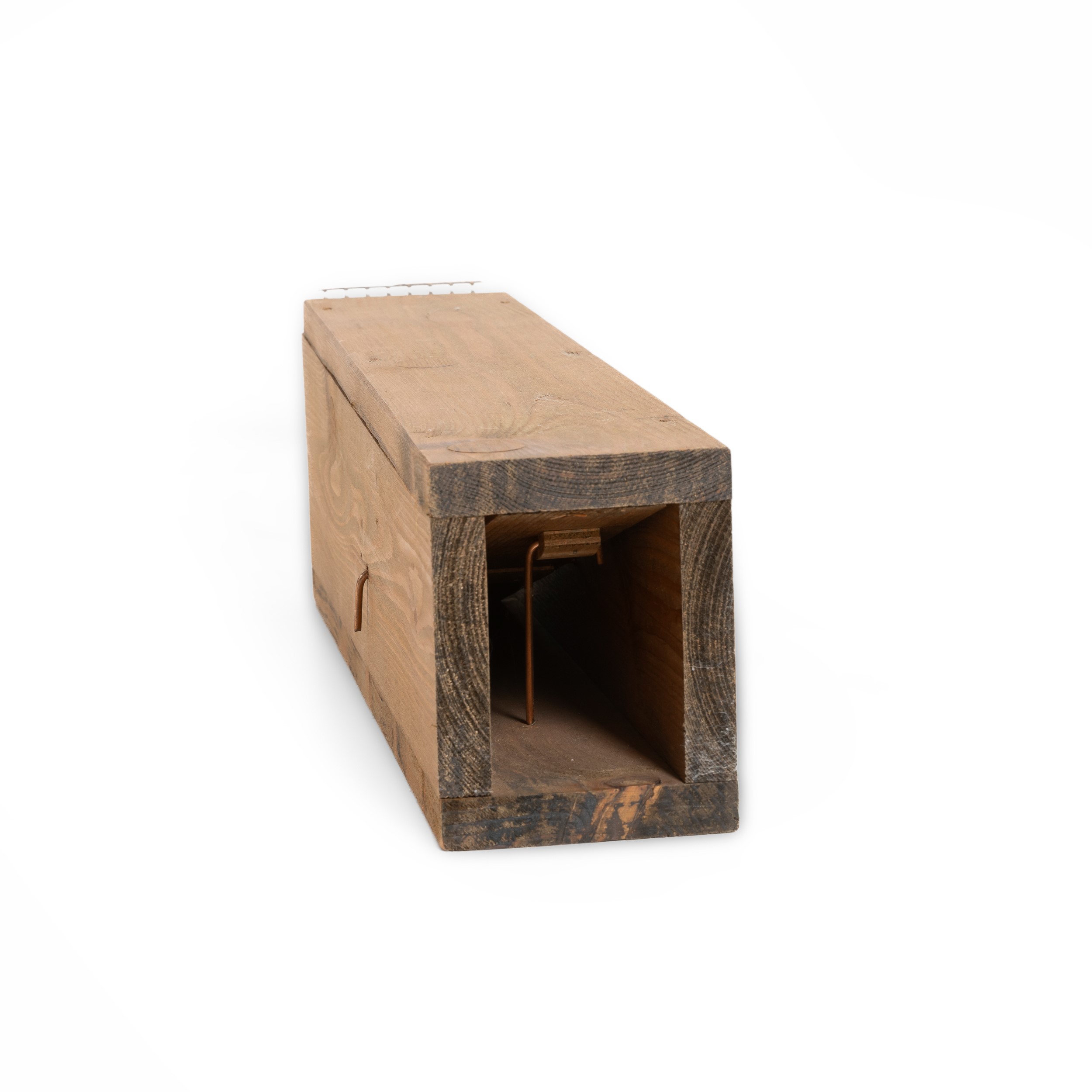 Andreas Slominski - Wieselwippbrettfalle, scultura in legno, metallo ed esca