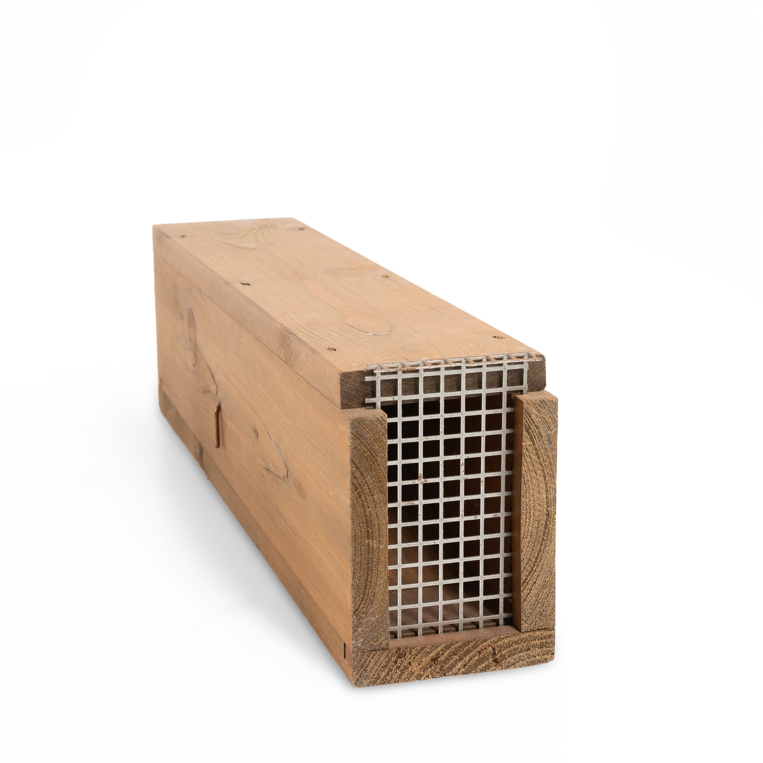 Andreas Slominski - Wieselwippbrettfalle, scultura in legno, metallo ed esca