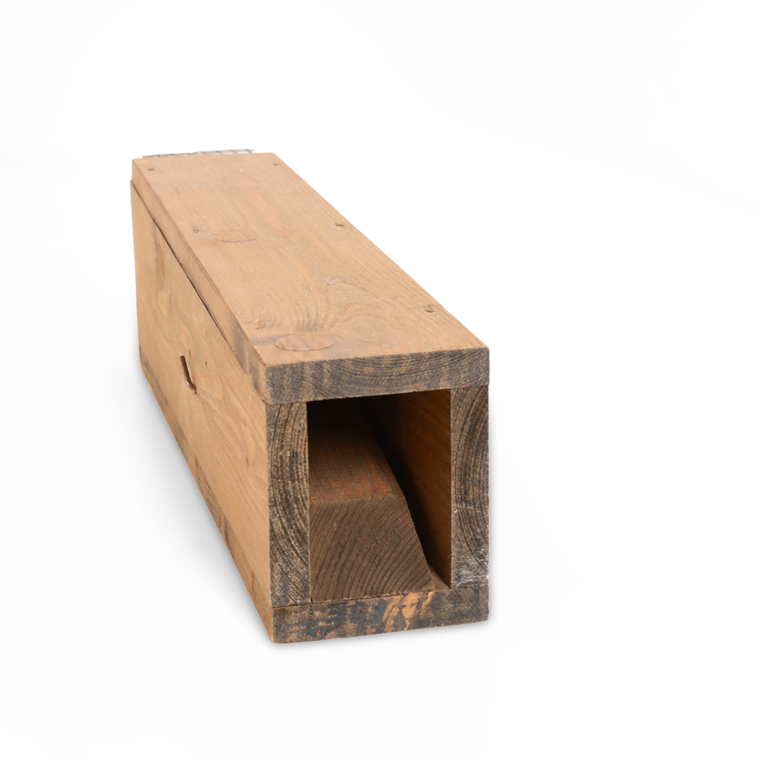 Andreas Slominski - Wieselwippbrettfalle, scultura in legno, metallo ed esca