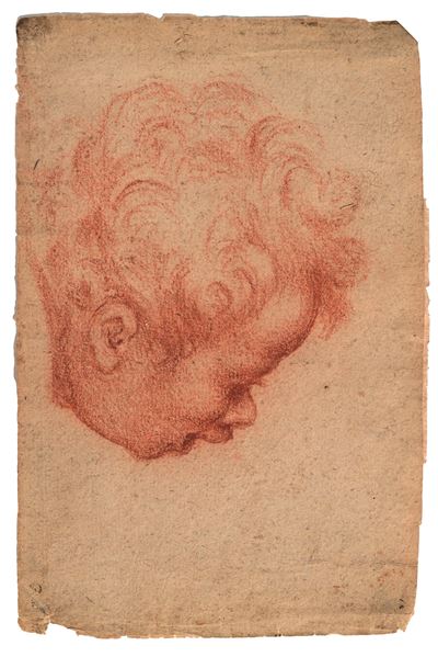 Testa di putto, matita rossa su carta
