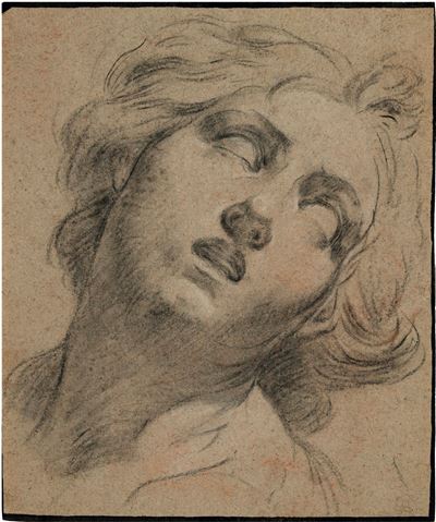 Testa di Proserpina, matita nera su carta