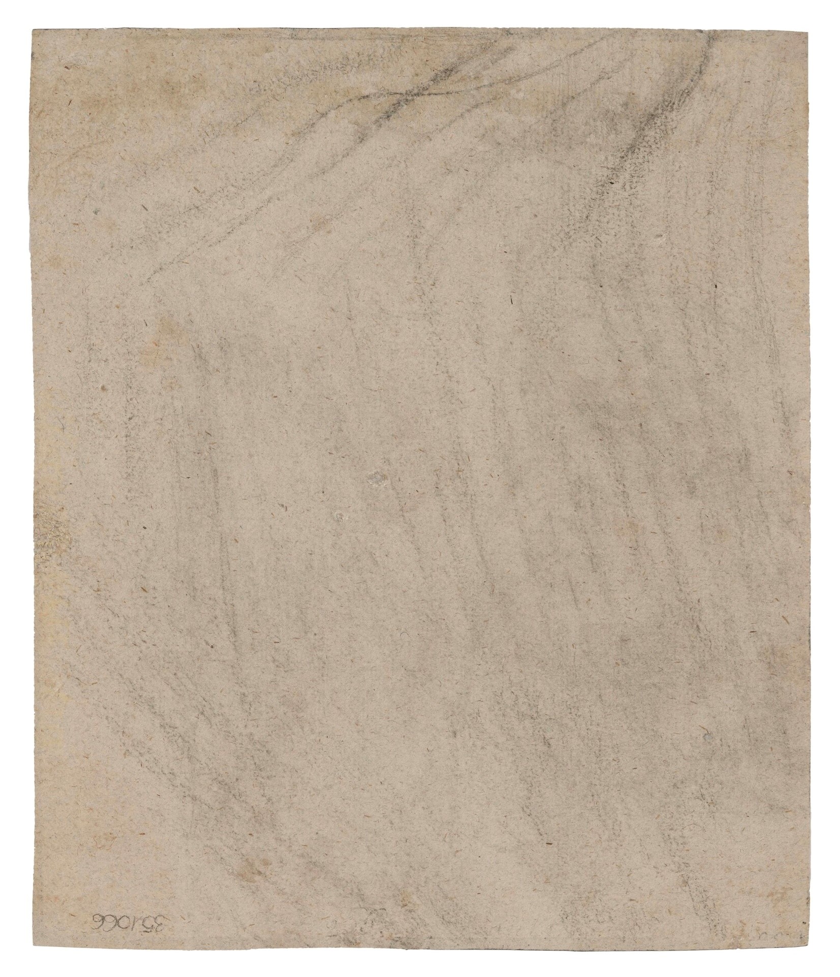 Gian Lorenzo Bernini - Testa di Proserpina, matita nera su carta