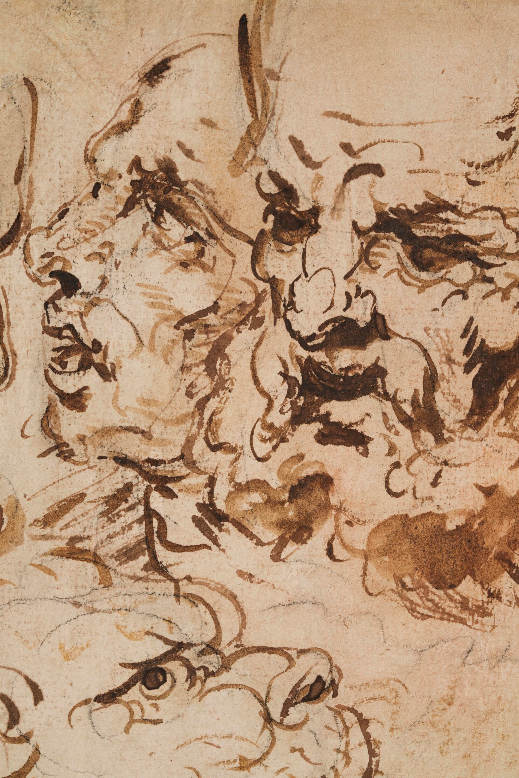 Jusepe De Ribera Detto lo Spagnoletto - Studi per la testa di San Girolamo e il leone, penna, inc...